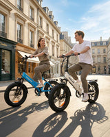 FM2.0 Folding Ebike  250W motor 48V15AH dual suspension