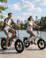 FM2.0 Folding Ebike  250W motor 48V15AH dual suspension