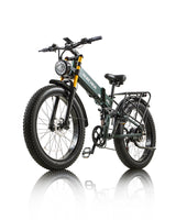 R5PRO 48V20Ah | 1000W | Double suspension