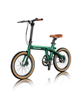 PULUMA PT20 Carbon Fiber Folding Electric Assist Bike