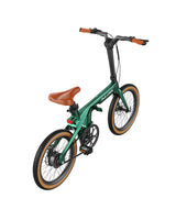 PULUMA PT20 Carbon Fiber Folding Electric Assist Bike