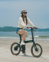 PULUMA PT20 Carbon Fiber Folding Electric Assist Bike