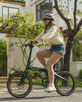 PULUMA PT20 Carbon Fiber Folding Electric Assist Bike
