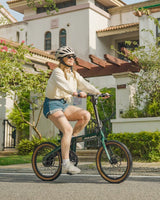 PULUMA PT20 Carbon Fiber Folding Electric Assist Bike