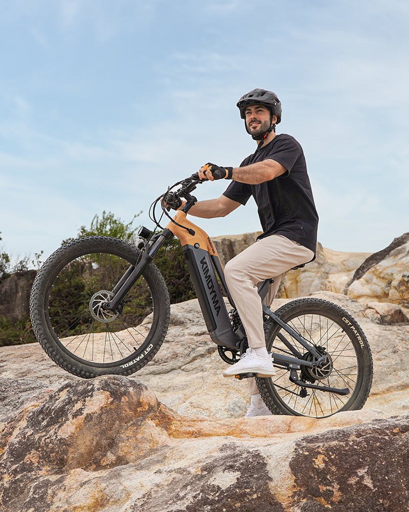 KIMDYMA K02 1000W Full suspension Soft tail Peilin Torque sensor