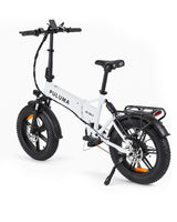 FM2.0 Folding Ebike  250W motor 48V15AH dual suspension