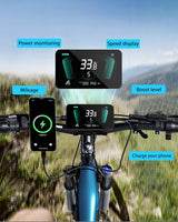 PULUMA PH001 1000W 48V20AH Vélo électrique tout-terrain à suspension intégrale