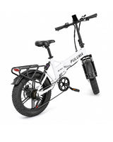 FM2.0 Folding Ebike  250W motor 48V15AH dual suspension