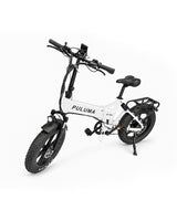 FM2.0 Folding Ebike  250W motor 48V15AH dual suspension