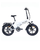 FM2.0 Folding Ebike  250W motor 48V15AH dual suspension