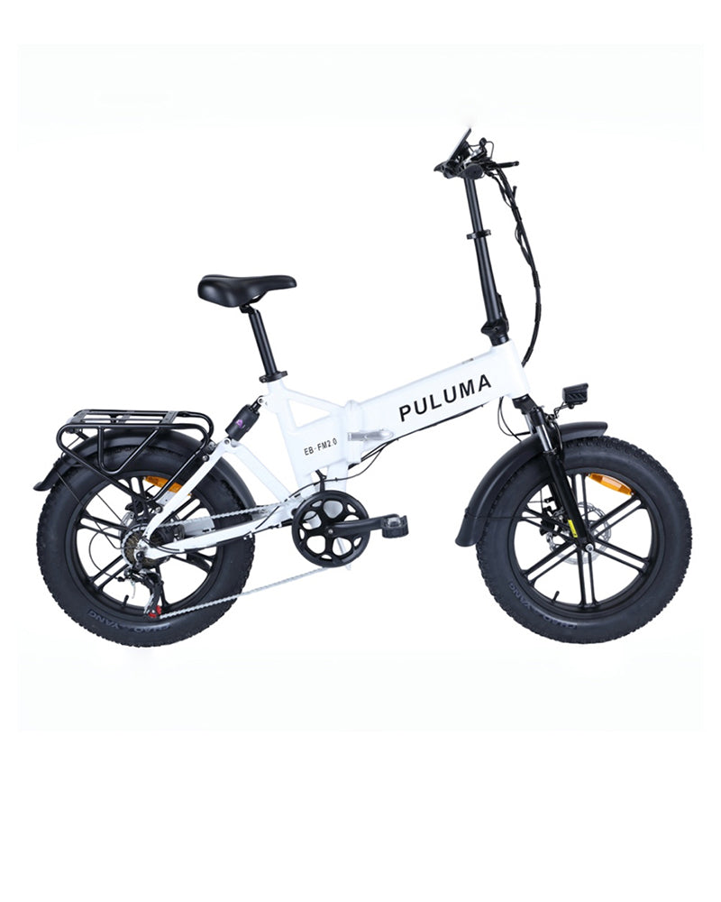 FM2.0 Folding Ebike  250W motor 48V15AH dual suspension