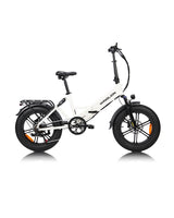 FM2.0 Folding Ebike  250W motor 48V15AH dual suspension