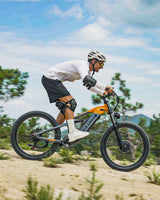 PULUMA PE86PRO 2000W | 48V20AH | Softtail frame |  Torque sensor