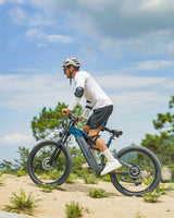PULUMA PE86PRO 2000W | 48V20AH | Softtail frame |  Torque sensor