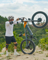 PULUMA PE86PRO 2000W | 48V20AH | Softtail frame |  Torque sensor
