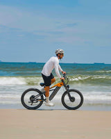 PULUMA PE86PRO 2000W | 48V20AH | Softtail frame |  Torque sensor
