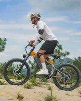PULUMA PE86PRO 2000W | 48V20AH | Softtail frame |  Torque sensor