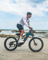 PULUMA PE86PRO 2000W | 48V20AH | Softtail frame |  Torque sensor